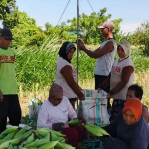 Bhabinkamtibmas Lombok Barat Sulap Pekarangan Jadi Lahan Pangan