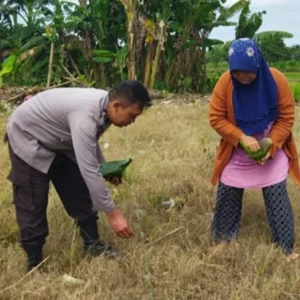 Polri Kawal Ketahanan Pangan di Telagawaru Lombok Barat
