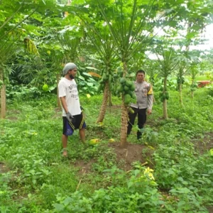 Edukasi Pemanfaatan Lahan Kosong oleh Bhabinkamtibmas Jagaraga