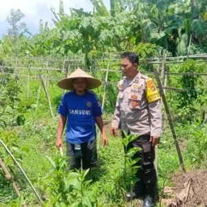 Polres Lobar Dampingi Petani Beleke Wujudkan Swasembada Pangan