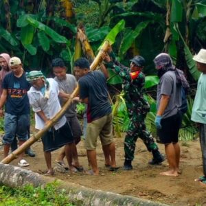 Batang Kelapa Jadi Harapan Warga Kambeng Timur