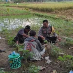 Polsek Labuapi Perkuat Ketahanan Pangan di Desa Kuranji Dalang