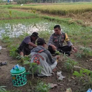 Polsek Labuapi Perkuat Ketahanan Pangan di Desa Kuranji Dalang