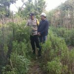 Polri Perkuat Ketahanan Pangan di Lombok Barat melalui Pendampingan Petani