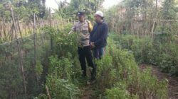 Polri Perkuat Ketahanan Pangan di Lombok Barat melalui Pendampingan Petani