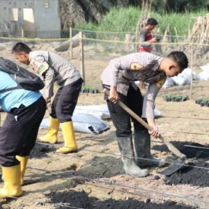 Taruna Akpol Pulihkan Ketahanan Pangan dan UMKM Warga Aceh Tamiang Lewat Pekarangan Pangan Lestari