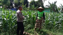 Polres Lombok Barat Kawal Swasembada Pangan di Labuapi
