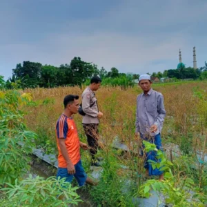 Polisi di Lombok Barat Dampingi Warga Wujudkan Swasembada Pangan