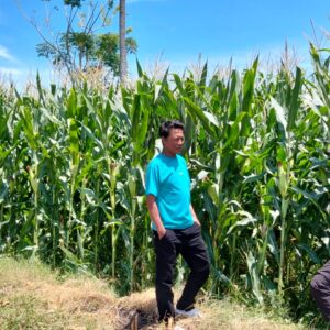 Bhabinkamtibmas Desa Lasi Pantau Lahan Jagung Warga, Dukung Program Ketahanan Pangan Nasional