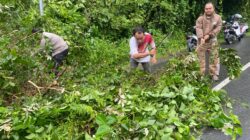 Respon Cepat Bhabinkamtibmas Bersama Warga Gotong Royong Bersihkan Pohon Tumbang