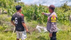 Bhabinkamtibmas Desa Dorokobo Pantau Lahan Jagung Warga, Dukung Ketahanan Pangan Menuju Indonesia Emas 2045