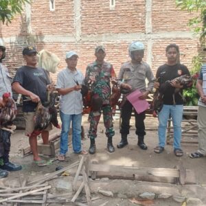 Berantas Penyakit Masyarakat, Polsek Woha membubarkan judi sabung ayam, Amankan 7 Ekor Ayam Aduan Para Pelaku Lari Tunggang Langgang.