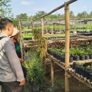 Bhabinkamtibmas Desa Tamekan Monitoring Pekarangan Bergizi, Dukung Program Asta Cita Swasembada Pangan