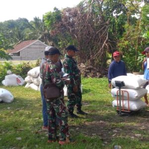 TNI Hadir Jaga Harga Gabah Jelang Ramadan