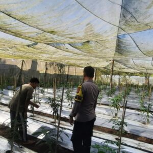 Bhabinkamtibmas Desa Kumbang Monitoring Ketahanan Pangan dan Ajak Warga Jaga Kamtibmas