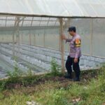 Bhabinkamtibmas Desa Kalianyar Cek Lahan Ketahanan Pangan Warga di Kalitemu Selatan