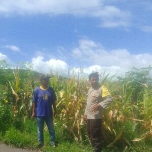 Humanis dan Preventif, Bhabinkamtibmas Desa Taropo Bangun Sinergi dengan Masyarakat