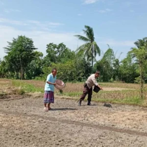 Polri Kawal Swasembada Pangan di Desa Merembu Lombok Barat