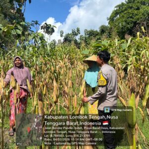 Bhabinkamtibmas Pandan Indah Sambangi Warga, Cek Tanaman Jagung dan Sampaikan Info HET
