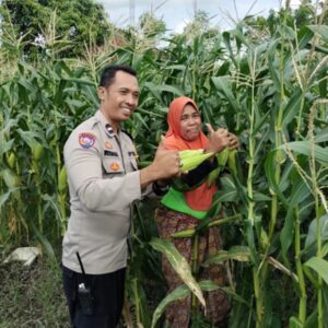 Sinergi Polri dan Petani Labuapi Manfaatkan Lahan Pekarangan