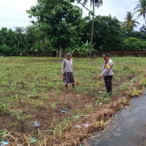 Polsek Gerung Kawal Ketahanan Pangan di Giri Tembesi