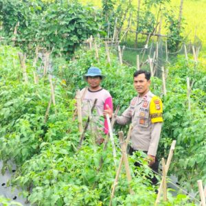 Bhabinkamtibmas Sakra Selatan Silaturahmi dan Monitor Program Ketahanan Pangan di Bagik Periduk