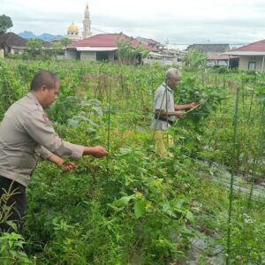 Bhabinkamtibmas Desa Masbagik Utara Laksanakan Silaturahmi dan Kontrol Petani Dukung Ketahanan Pangan