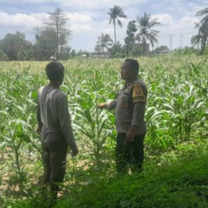 Polsek Labuapi Kawal Swasembada Pangan di Bagik Polak Barat
