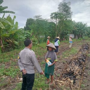 Dukung Ketahanan Pangan, Bhabinkamtibmas Desa Pringgabaya Dampingi Penanaman Jagung di Lahan Warga
