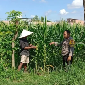 Polri Dampingi Petani Bagik Polak Barat Perkuat Ketahanan Pangan
