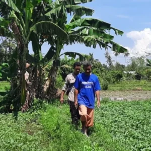 Polsek Labuapi Dorong Ketahanan Pangan Melalui Pekarangan Bergizi