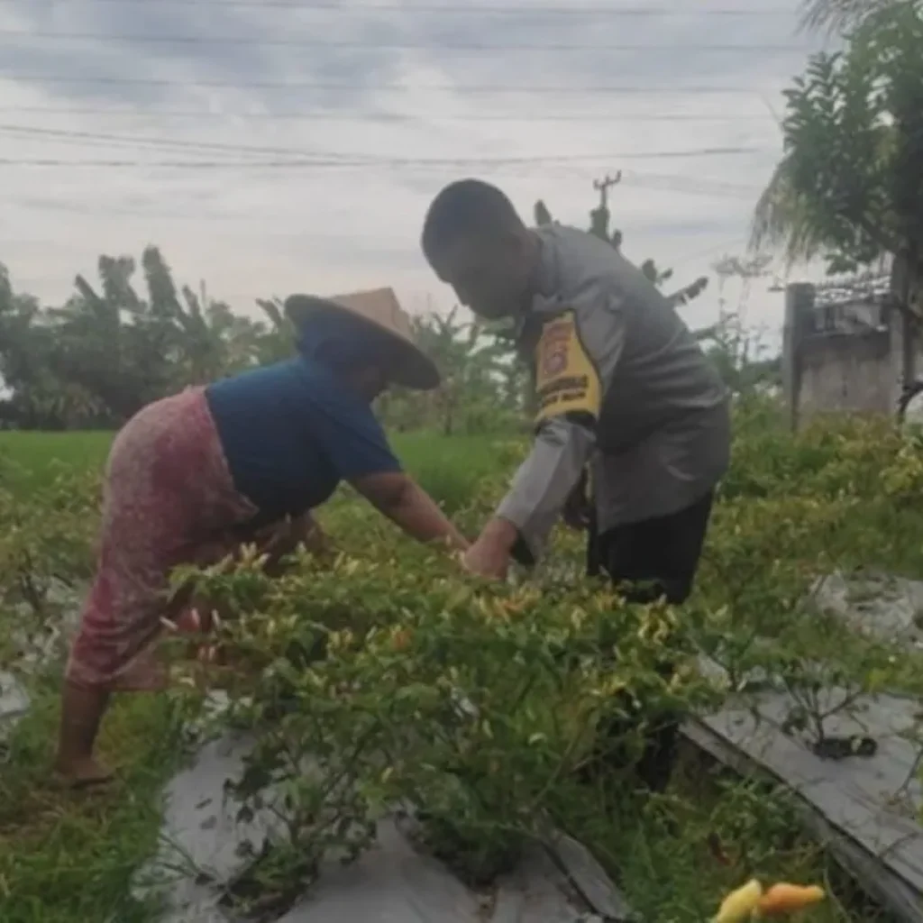 Bhabinkamtibmas Desa Kuranji Dalang Kawal Swasembada Pangan