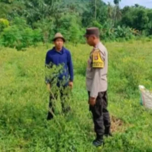 Polsek Gerung Edukasi Pertanian Mandiri di Desa Kebon Ayu