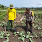 Bhabinkamtibmas Desa Bagik Papan Lakukan Silaturahmi dan Pengecekan Tanaman Warga