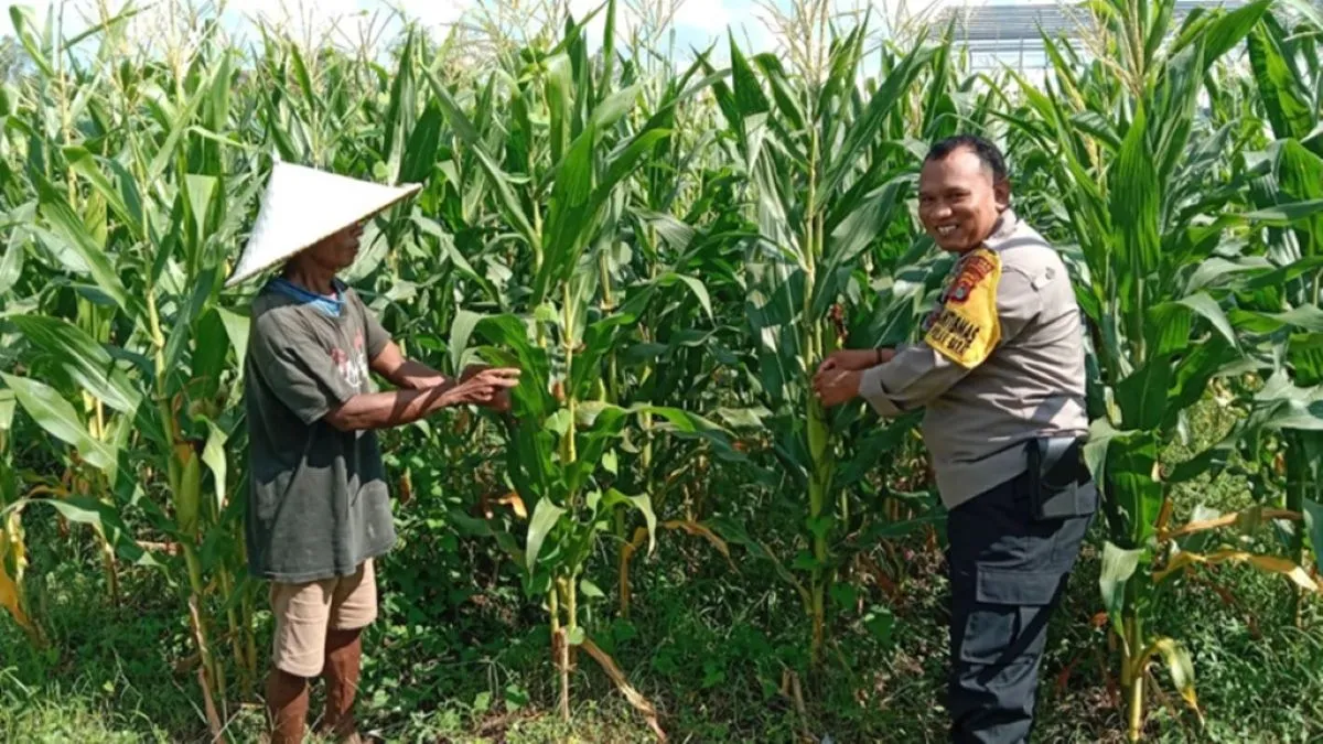 Strategi Cerdas Bhabinkamtibmas Desa Bagik Polak Barat: Ubah Lahan Tidur Jadi Sumber Pangan Produktif