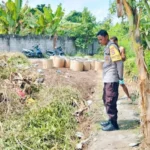 Cara Budidaya Tanaman Palawija untuk Ketahanan Pangan