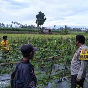 Bhabinkamtibmas Tanak Gadang Cek Lahan P2B, Dukung Program Swasembada Pangan