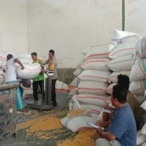 Polsek Gerung Kawal Distribusi Jagung di Desa Beleke