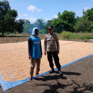 Motivasi dan Pendampingan Bhabinkamtibmas, Petani Mbuju Siap Tingkatkan Produktivitas