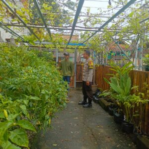 Bhabinkamtibmas Kelurahan Bugis Motivasi Warga, Pekarangan Rumah Hasilkan Pangan Mandiri