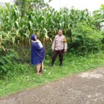 Humanis dan Produktif, Bhabinkamtibmas Kampasi Meci Kawal Ketahanan Pangan