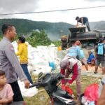 Ketahanan Pangan Terjaga, Bhabinkamtibmas Manggelewa Pantau Panen Jagung Warga