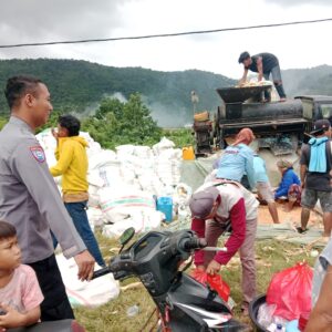 Ketahanan Pangan Terjaga, Bhabinkamtibmas Manggelewa Pantau Panen Jagung Warga