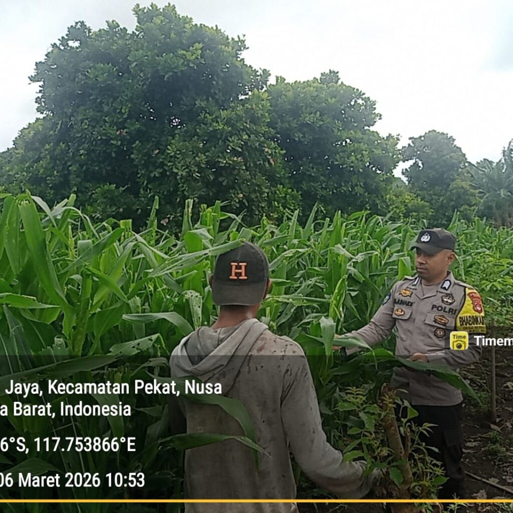 Bhabinkamtibmas Desa Beringin Jaya Beri Semangat Petani, Ketahanan Pangan Terus Didorong