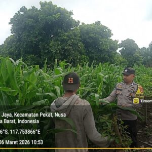 Bhabinkamtibmas Desa Beringin Jaya Beri Semangat Petani, Ketahanan Pangan Terus Didorong