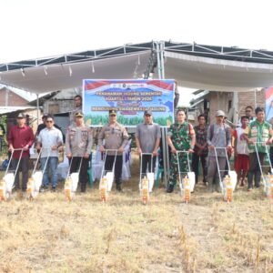 *Penanaman Jagung Serentak Kuartal I 2026 Dukung Program Asta Cita*