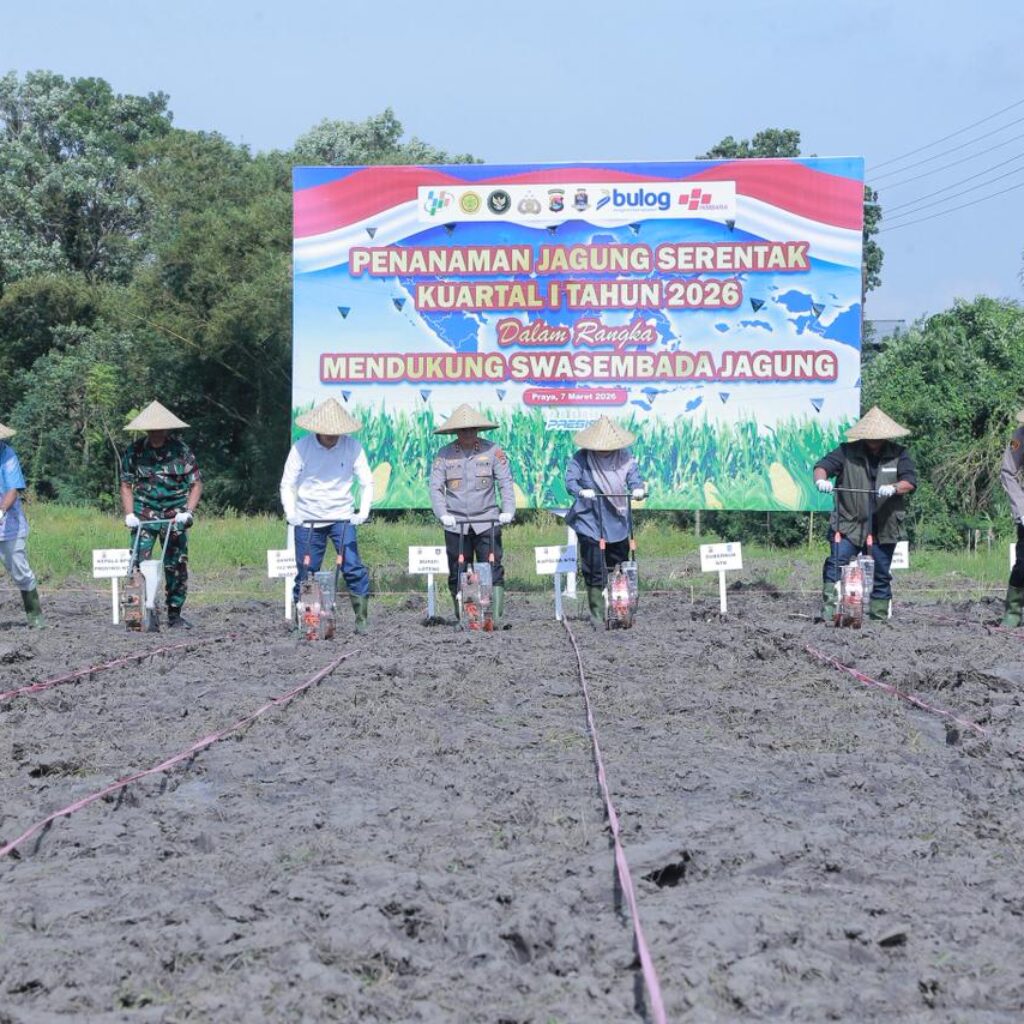 Kapolda NTB Ikut Tanam Raya Jagung di Praya, Dukung Swasembada Pangan 2026