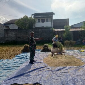 Harapan Petani Jatisela Saat Panen Perdana Tahun 2026