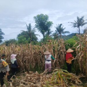 Perkuat Sinergitas, Bhabinkamtibmas Desa Tolo’oi Sambangi Tokoh Masyarakat di Dusun Batu Mas