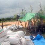 Polri Dukung Ketahanan Pangan, Bhabinkamtibmas Dampingi Petani Jagung dari Masa Tanam hingga Distribusi